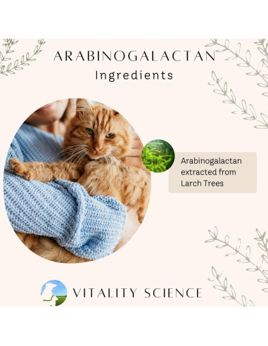Arabinogalactano Prebiótico Vitality Science 120g para Gatos y Perros