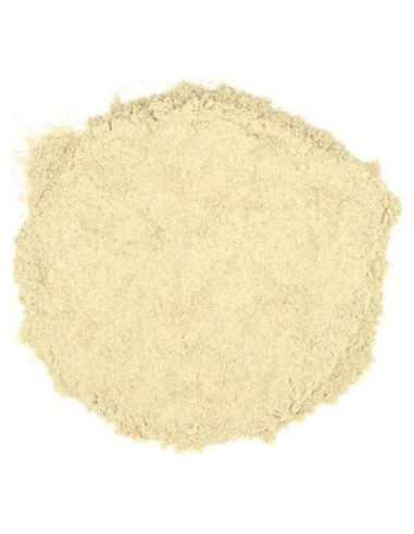 Polvo de Acedera Orgánico Florida Herb House 28 g