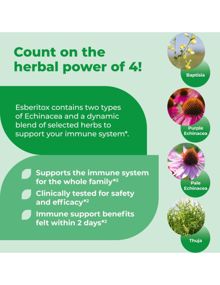 Echinacea Supercargada 100 Tabletas - Suplemento Inmunológico Herbal