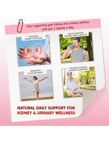 Suplemento Detox de Riñones PeakPury 150 Cápsulas - Arándano, Uva Ursi, Diente de León