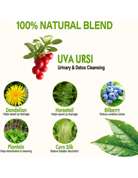Té Diurético Natural HerbOLITHIC Uva Ursi 30 Bolsas Detox