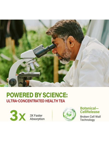 Té Diurético Natural HerbOLITHIC Uva Ursi 30 Bolsas Detox