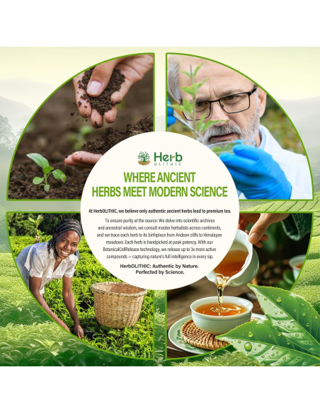 Té Diurético Natural HerbOLITHIC Uva Ursi 30 Bolsas Detox