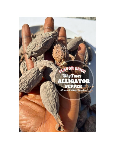 Vainas de Pimienta Alligator Sabor Especias - 5 Unidades