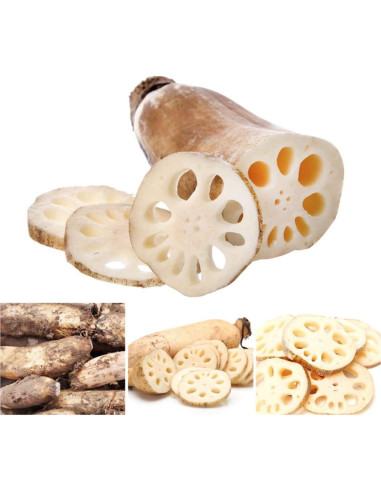 Extracto de raíz de loto orgánico en polvo Goodlife 300g