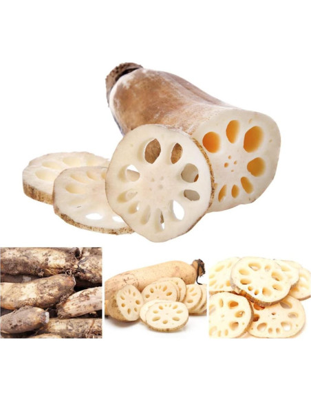 Extracto de raíz de loto orgánico en polvo Goodlife 300g