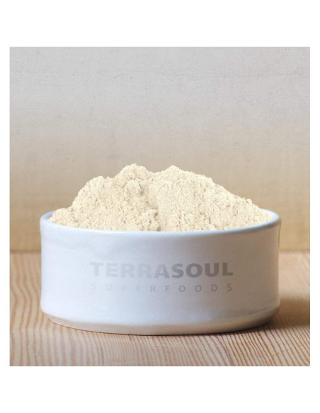 Polvo de Lucuma Orgánico Terrasoul Superfoods 453.6 g