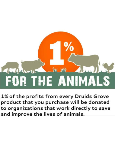 Concentrado de Proteína de Frijol Faba Druids Grove 227g - Vegano, Sin Gluten, Kosher