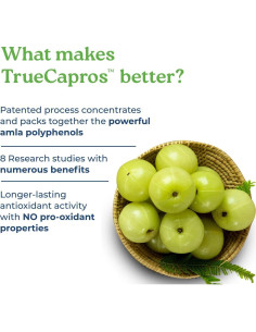 Suplemento Antioxidante Amla NatureCity 30 Cápsulas Veganas 2