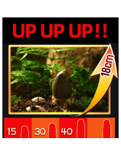 Gel de Masaje Huge Men XXL - Aumento de Tamaño y Fuerza 2