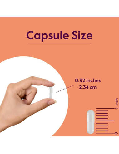Suplemento L-Triptófano 500mg Bestvite - 240 Cápsulas Veganas