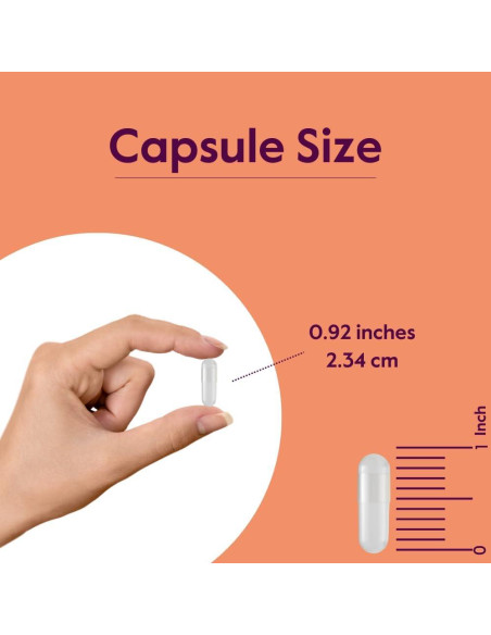Suplemento L-Triptófano 500mg Bestvite - 240 Cápsulas Veganas
