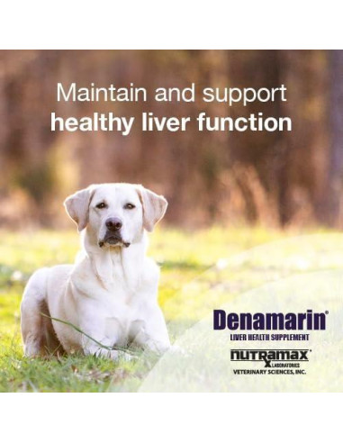 Suplemento Hepático para Perros Nutramax Denamarin 30 Tabletas