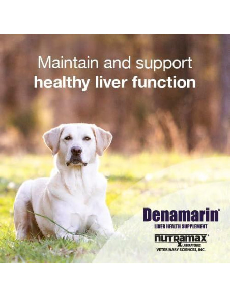 Suplemento Hepático para Perros Nutramax Denamarin 30 Tabletas