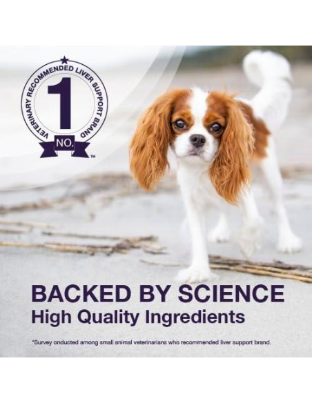 Suplemento Hepático para Perros Nutramax Denamarin 30 Tabletas