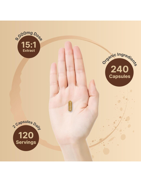 Suplemento de Hongos Melena de León NatureBell 240 Cápsulas