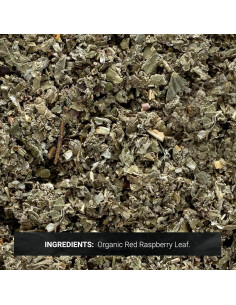 Suplemento Herbal Hoja de Frambuesa Roja Orgánica Frontier 0.45 kg 2