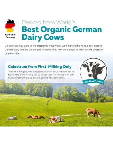 C-Strum Polvo de Calostro Bovino Orgánico 60% IgG 90g
