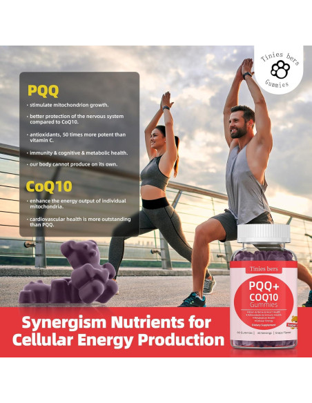 Gominolas PQQ 40mg y CoQ10 100mg Tinies bers 60 Unidades