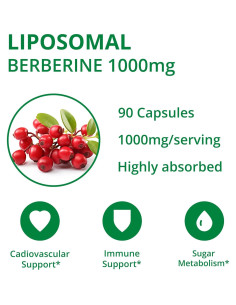 Suplemento Liposomal de Berberina UpNourish 1000mg - 90 Cápsulas Veganas 2