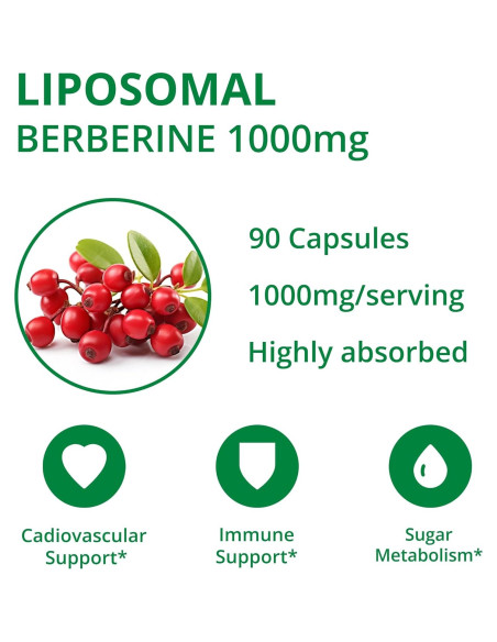 Suplemento Liposomal de Berberina UpNourish 1000mg - 90 Cápsulas Veganas