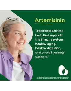 Artemisinina 500mg Bestvite - 60 Cápsulas Vegetarianas Veganas 2