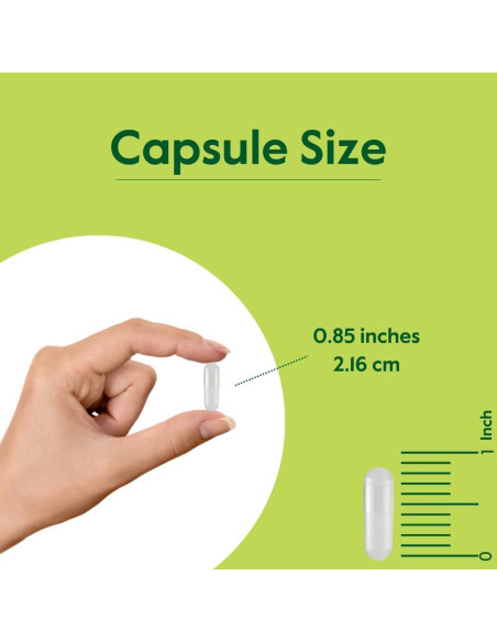 Artemisinina 500mg Bestvite - 60 Cápsulas Vegetarianas Veganas