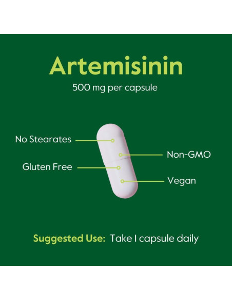 Artemisinina 500mg Bestvite - 60 Cápsulas Vegetarianas Veganas