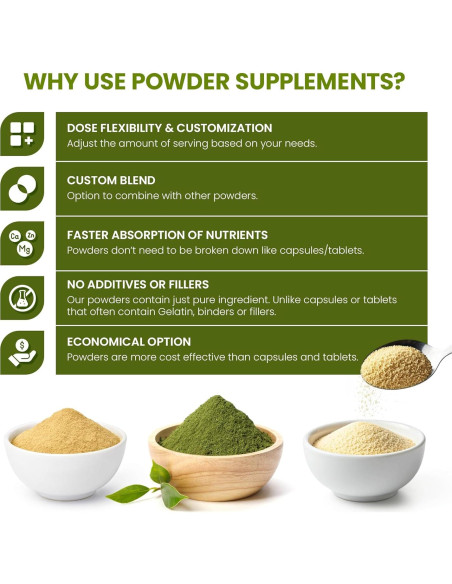 Semillas de Hinojo Orgánicas Powerfoods 0.45 kg - Sin Aditivos