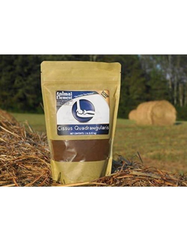 Extracto de Cissus Quadrangularis 2.5% - 0.45 kg - Animal Element