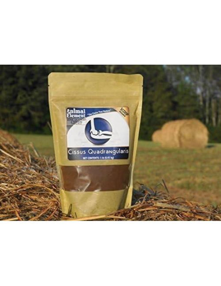 Extracto de Cissus Quadrangularis 2.5% - 0.45 kg - Animal Element