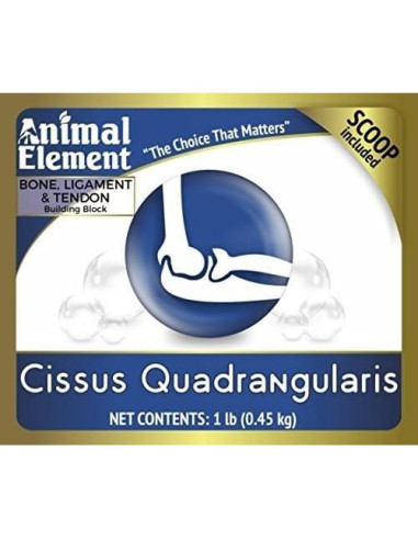 Extracto de Cissus Quadrangularis 2.5% - 0.45 kg - Animal Element