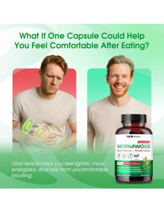 Cápsulas Digestivas Vital Herbal Ajenjo 150 Unidades - Salud Digestiva 2