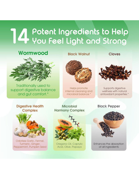 Cápsulas Digestivas Vital Herbal Ajenjo 150 Unidades - Salud Digestiva