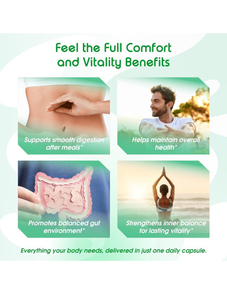 Cápsulas Digestivas Vital Herbal Ajenjo 150 Unidades - Salud Digestiva