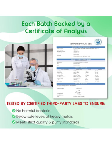 Cápsulas Digestivas Vital Herbal Ajenjo 150 Unidades - Salud Digestiva