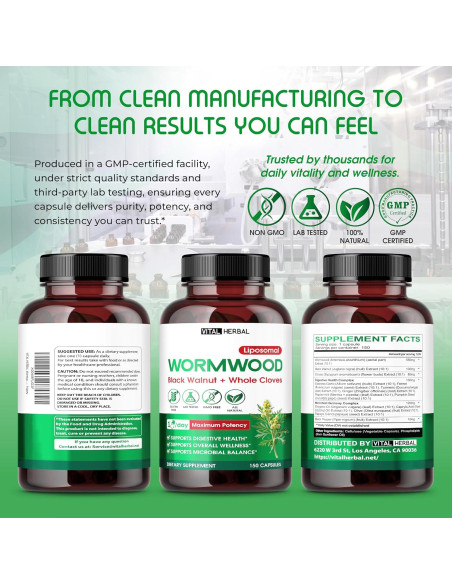 Cápsulas Digestivas Vital Herbal Ajenjo 150 Unidades - Salud Digestiva