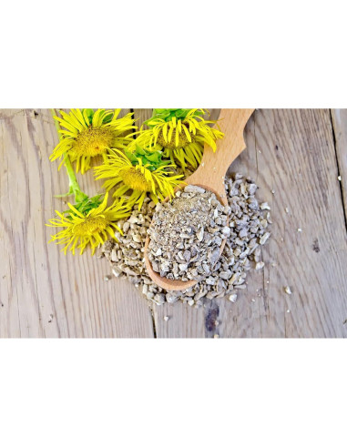 Té Herbal Oman Raíz Inula Helenium 100g - Libre de OGM