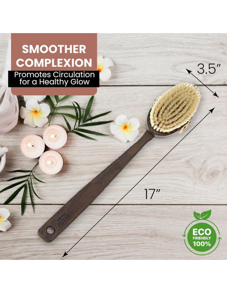 Cepillo Corporal Exfoliante SHASH de Cerda de Jabalí 43 cm