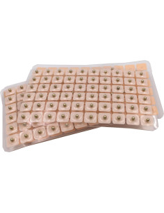 Perlas Magnéticas de Acupresión para Oídos - 300 Parches 2