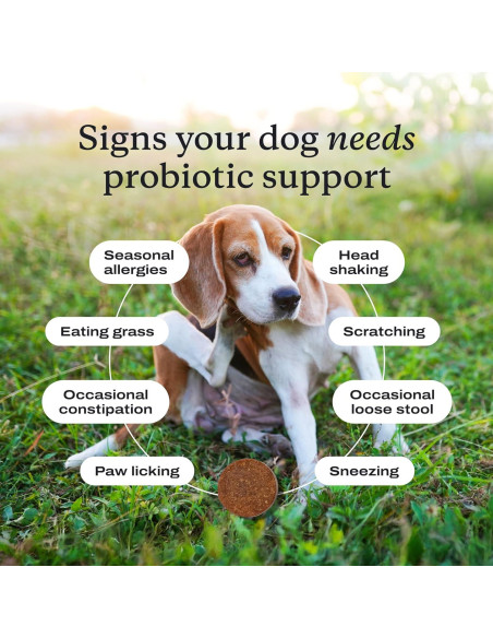 Probioticos para Perros PetLab Co. Sabor Salmón 30 Chews