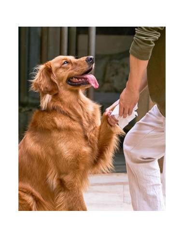 Toallitas Desodorantes HICC PET para Perros y Gatos 120 Unidades