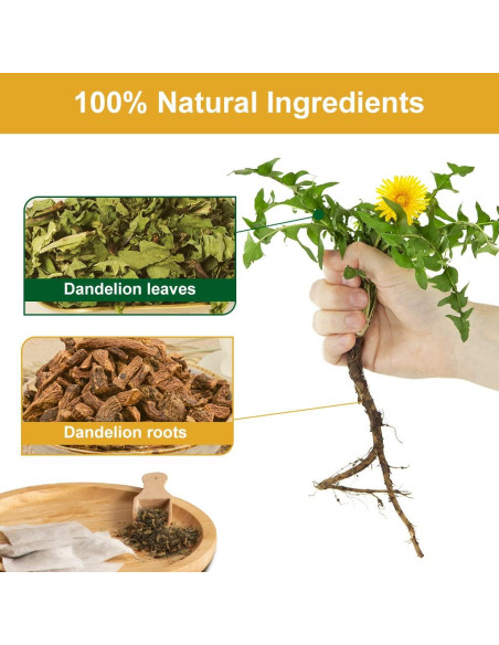 Té Herbal Premium Diente de León 40 Bolsas 80g Sin Cafeína