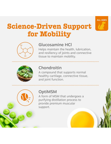 Suplemento Articular para Perros Zesty Paws 50 Masticables Tocino