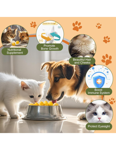 Yema de Huevo de Codorniz Liofilizada Dylan's Cabin 198g