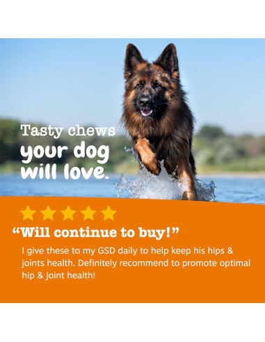 Suplemento Articular para Perros Zesty Paws 50 Masticables Tocino