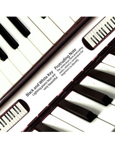 Piano de Aire Melódico Profesional YCXYQ 37 Teclas Negro 2