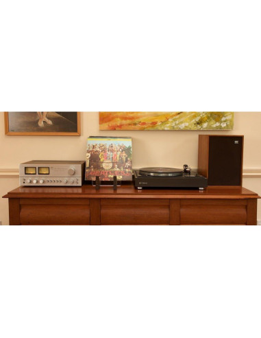 Soporte para Discos de Vinilo KAIU - Madera Nuez, 50 LPs