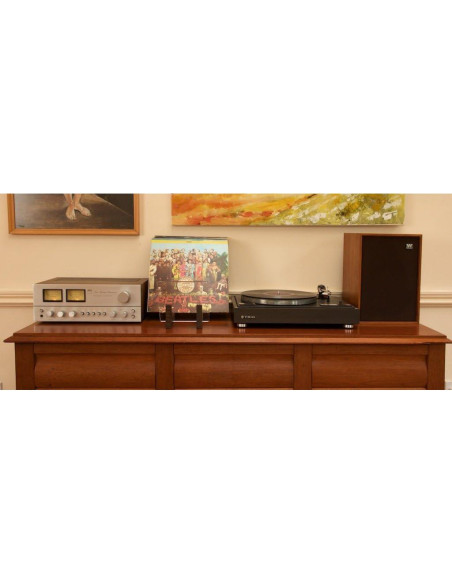 Soporte para Discos de Vinilo KAIU - Madera Nuez, 50 LPs