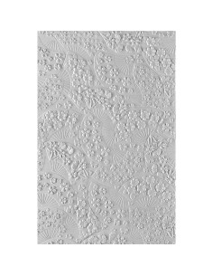 Carpeta de Embossing 3D Spellbinders Ventiladores Florales 14x22 cm 2